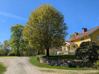 Sotanäs Huldas - Fegen - 8