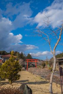 箱根 竹野亭 - Ashinoyu - 7