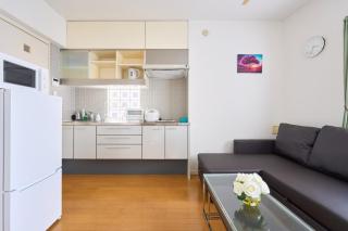 3B SHIBUYA Cozy Bright Apartment, 28sqm, free wifi, MAX 5PP - 2
