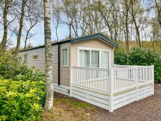 Woodland Serenity - Edzell - 0