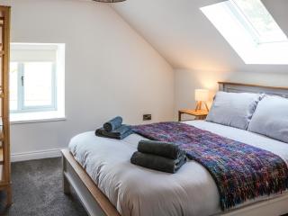 Erddyn - Uk48860 - Llanddwywe - 3