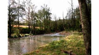 Rivers Edge Cabin by Tiny Away - Barrington - 6