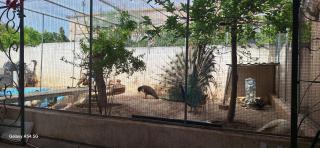 Cozy House Oasis 15 min to airport & port, 35 min from Acropolis - Papangeláki - 7