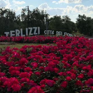 I CAVALIERI - Terlizzi - 9