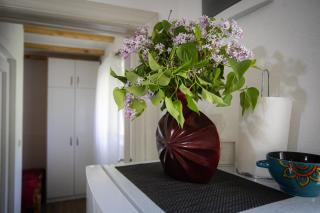 Potočna Vila - Mojkovac - 2