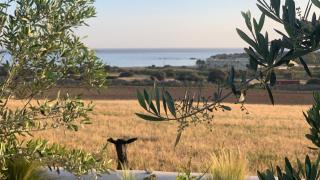 Marikos House, Pyrgaki Alyko Naxos - 9