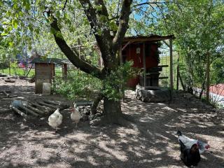 Landhaus Storchenblick - Überlingen - 3