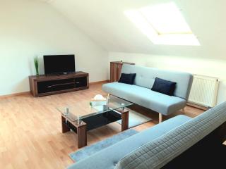 Seyfarthrooms - Großröhrsdorf 2 - zentrale Lage, stilvolle Einrichtung, Blick in den Garten - 0