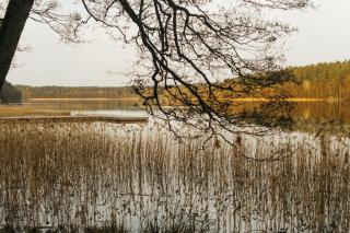 Aries Lago Park Hotel & SPA, Mazury - Olsztynek - 1