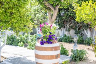 PERIVOLI 1-CHORA(5min away from the center by car) - 2