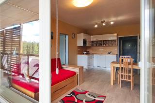 Slunný dvoupokojový apartmán v centru s nejkrásnějším výhledem v Harrachově a soukromým parkováním v garáži - by Relax Harrachov - Harrachov - 0