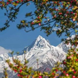 The Backpackers' Nest Hunza - Hunza - 1