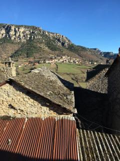 La Fleurine in Mostuejouls, Gorges du Tarn - Mostuéjouls - 4
