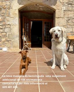 Ecoturisme Mas Ribas - Palamós - 7
