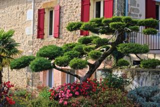 Maison Olivier - Charmant gîte au coeur du Périgord Vert, piscine spa et nature - 2