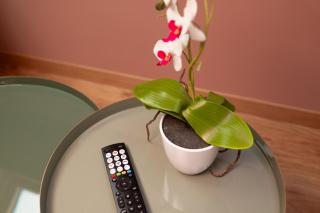 San Giuseppe Suite Lake Como - 5