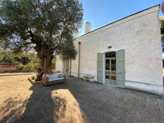 Villa Don Vito surrounded by centuries-old olive trees - Monopoli - 0