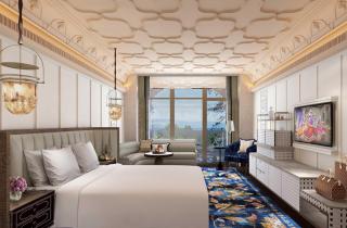 Fairmont Udaipur Palace - Udaipur - 9