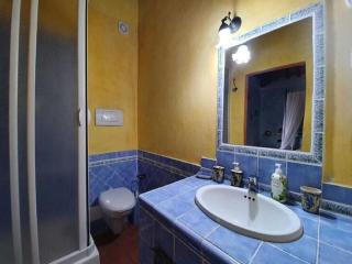 Pleasant holiday home in Seggiano with private terrace - Seggiano - 4