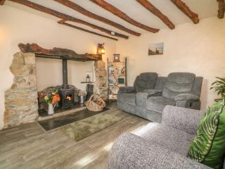 Tea Cosy Cottage - Bude - 7
