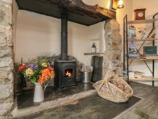 Tea Cosy Cottage - Bude - 6