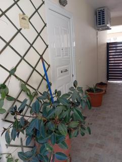 Garden studio - Pireo - 1