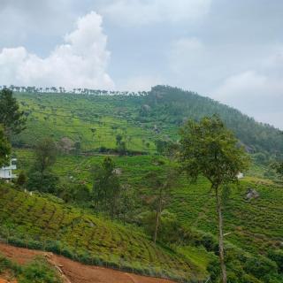 Nest Valley Kotagiri - Kotagiri - 8