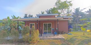 Fern lovely home with big garden - - 4