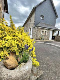 Gîte et gîte équestre dans ancienne laiterie rénovée - Saint-Sauveur-le-Vicomte - 4