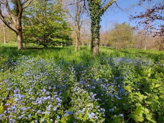 Gîte et gîte équestre dans ancienne laiterie rénovée - 2