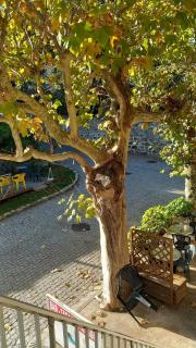Gite chez Anne So - 4