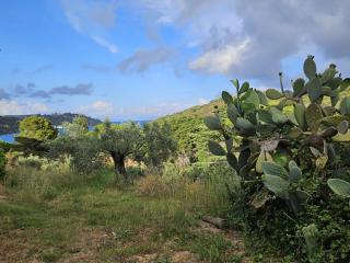 A Casa di Titti - Goelba - Capoliveri - 8