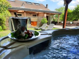 Le Clos des Thermes Suites de Luxe avec wellness privatif - Chaudfontaine - 4