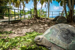 Villa Chez Batista - 6