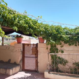 Fatima guest house - Wadi Musa - 3