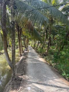 Cin Homestay - - 4