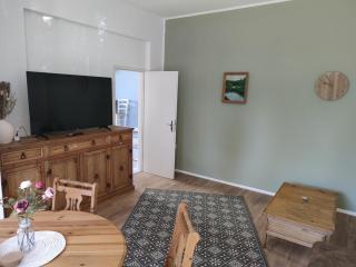 City Nest - Große gemütliche Ferienwohnung mit Terrasse, zentral gelegen, für Paare, Familien und Hunde! - Gotinga - 4