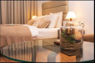 Rustic Luxurious Suite Entire 1BHK Studio Apartment - Gurgaon - 7