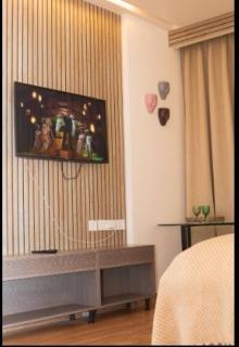 Rustic Luxurious Suite Entire 1BHK Studio Apartment - Gurgaon - 1