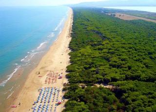 Chalet Viola Beach Village - Foce Varano - 7