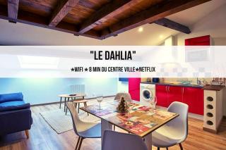 Le Dhalia Proche Centre Ville et Place Stan - Nancy - 0