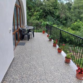 Casa Valea Arefului - 3
