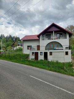 Casa Valea Arefului - Arefu - 9