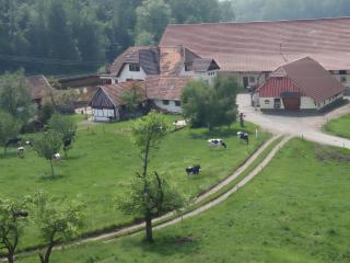 Hofgut Homboll - Hilzingen - 0