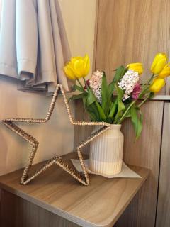 Robin Hood 3-Bed Caravan Sleeps 8 Pet Friendly - Rhyl - 6