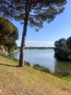 Les Appartements De Lina - Appartement East Land - Self Check-In - - La Grande-Motte - 4