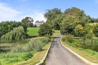 Florida Manor NI - Meadow Green - - 6