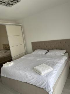 Wolf residence - Şelimbăr - 6