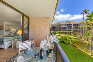 Papakea C209 - Kahana - 9