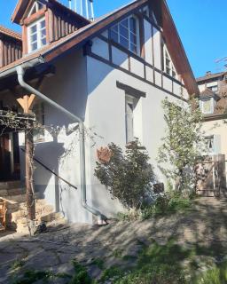 Idyllisches Häusle Teningen - 0